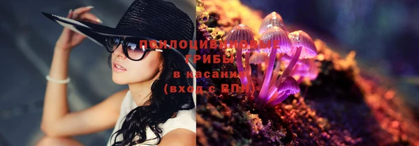 хмурый Армянск